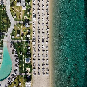 https://blue-carpet-luxury-suites.hotelschalkidiki.net