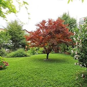 Nigler Apartment Innsbruck